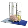 Sclessin Plateforme de Pesage Professionnelle 1000x1200mm