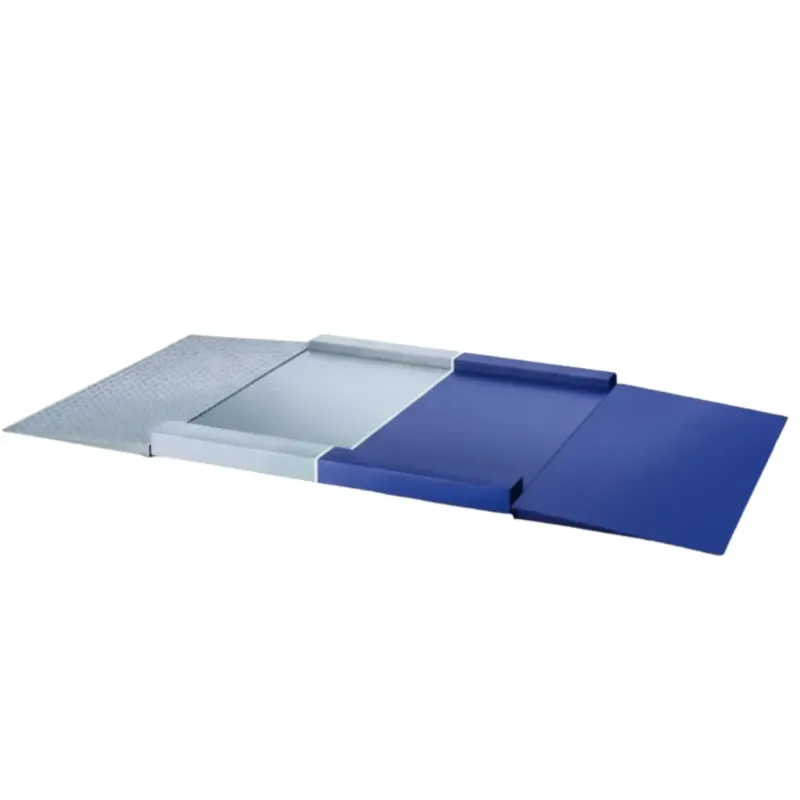 Sclessin Plateforme de Pesage Inox Professionnelle 800x800mm