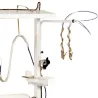 Cocchi CG-AVB