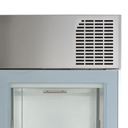 Electrolux 2 portes 9VTX725232 | Armoire positive professionnelle