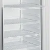 Liebherr Grille Acier Plastifie GN 2/1 pour armoire froide