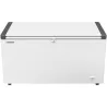 Liebherr EFL 4655 congélateur coffre pour cuisine professionnelle