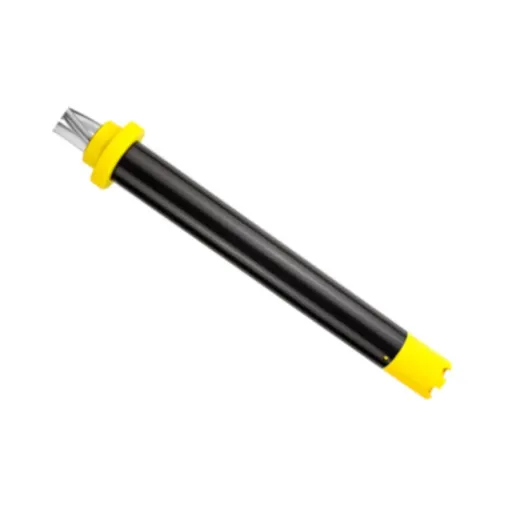 Saier SLNS 9608-600 Canne avec sonde pour pompe doseuse Saier SLNS 9608-600 Canne avec sonde pour pompe doseuse