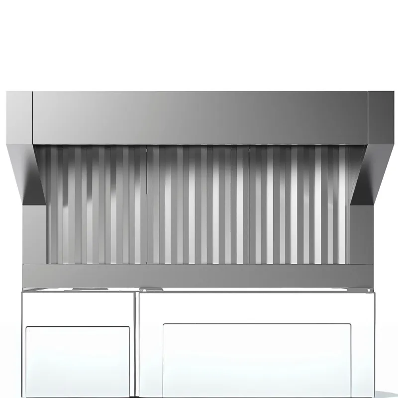 Electrolux Hotte avec ventil pour four 6 ou 10 GN 2/1