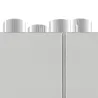 Electrolux SkyLine Premium S 20 GN2/1 - électrique