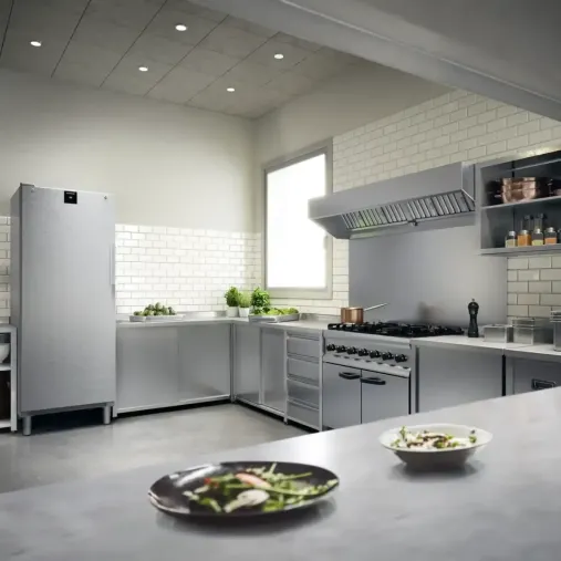 Liebherr FRFCVG 6501 armoire positive